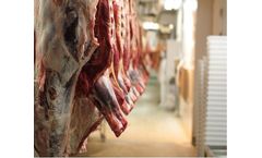 Effective Cleaning & Disinfection of Water for Slaughterhouses