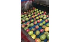 Effective Cleaning of Plumbing & Disinfection of Water for Mango Processing Plant