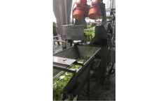 Effective Cleaning of Plumbing & Disinfection of Water for Mini Vegetables