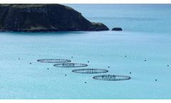 Aquaculture Solutions for Better Water