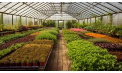10 Easy Tips To Build and Design A Small Greenhouse Watering System