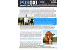 Puroxi for Beef Cattle - Brochure