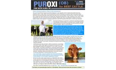 Effective Cleaning & Disinfection of Water for Beef Cattle Operations - Brochure