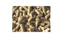 Mailhem - Biomass Briquetting System