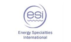 ESI - Model API-421 - Gravity-type Oil Water Separator