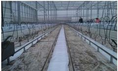 Ground Foil Used in Hydroponic Greenhouses