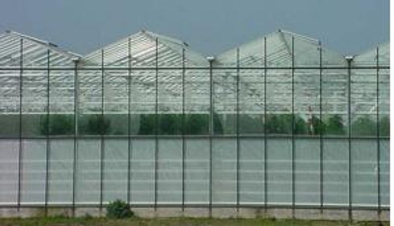 Bubble Foil Used for Greenhouse Isolation