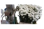 Quickfill  - Flower Bucket Filler