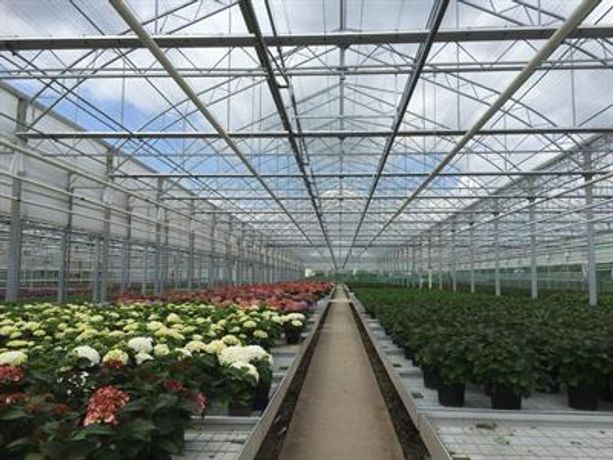 Greenhouses & Constructions-3