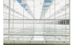 Debets Schalke - New Greenhouses
