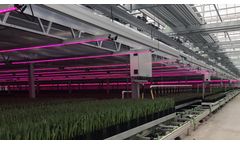 Multi-Layer Cultivation Systems Within Greenhouses