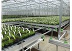 KG Greenhouses - Growing Bench Systems