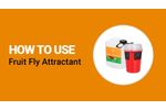 How to use Fruit Fly Attractant and Drosasan Trap from Koppert - Video