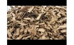 ITS850X550E Shredding Cardboard & Paper Video