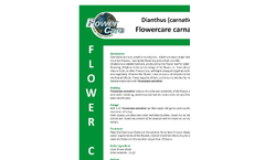 Flowercare - Carnation Dianthus Brochure