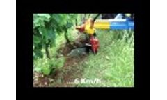 Equipment Vineyards with Double Blade Inter-Row Yydraulic DX and SX Model EXPO DOPPIO Video