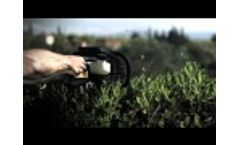 Hedge Trimming the Fast Way Video