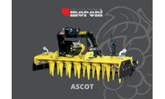 Moreni - Model Ascot - Power Harrow Vineyard - Brochure