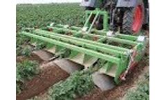 Baselier | GKB | Potato Crop Cultivation | Chemical-Free | Mechanical | Weed Control Video