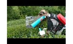 Battery Tea Harvester - Video