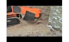 Stump Cutter LASKI - Predator P38 - Video