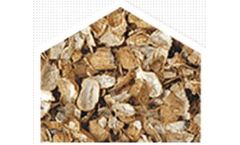 Radhe - Ground Nut Shell