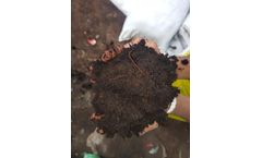 Cocopeat Powder (Fermemted & Microbial Enriched)