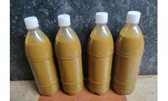 Jeevamrutha for Natural Liquid Fertilizer