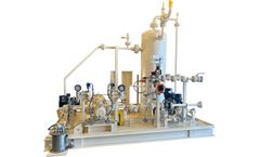 Leistritz - Plunger Assisting Multiphase Pump (PAMP)