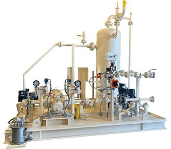 Leistritz - Plunger Assisting Multiphase Pump (PAMP)