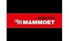 Made for Mammoet Video