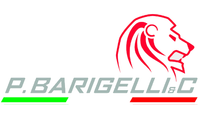 P. Barigelli & C. Srl