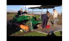 Spinach and cress: harvesting with Ortomec 4000  - Video