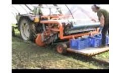 Corn-salad harvest with Ortomec 7700 - raccolta valeriana  - Video