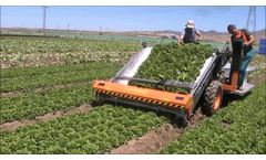 Ortomec 8500 - Harvesting of Head Lettuce - Video