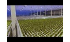 Gutter Trolleys For Horticulture - Video