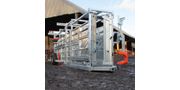 Mobile Cattle Crate with Automatic Yoke