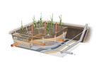 Sludge Treatment Reed Beds Plant (STRB)