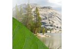 Introduction to the California Environmental Quality Act (CEQA)