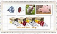 Infrared Heat Lamp for Piggery