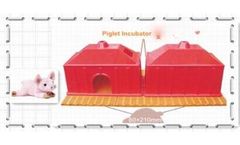 Piglet Incubator