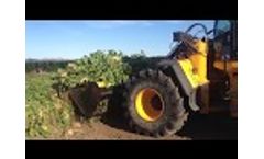 Rata Fodder Beet Bucket harvesting sugar beet on wheel loader