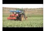 Zocapi - Model CZ - Garlic Harvester Cutter Video