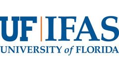 UF/IFAS research finds ways to save water, strawberries and money during cold temps