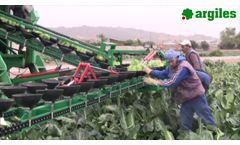 AFH-Aereo - Harvesting Machines - Video