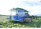 Argiles - Model AFH-Compact - Self-Propelled Vegetable Harvester for Greenhouses