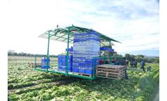 Argiles - Model AFH-Compact - Self-Propelled Vegetable Harvester for Greenhouses