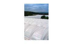 Lumisol Clear - Polythene Tunnel Covers
