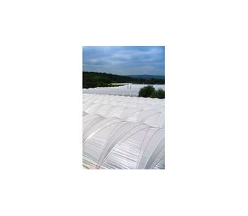 Lumisol Clear - Polythene Tunnel Covers