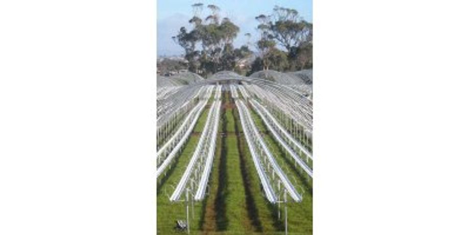 Haygrove - Double Row Substrate System